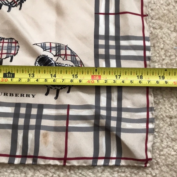 🌸🌺🌷🌹Burberry Scarf